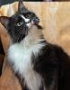 Margo (22)
